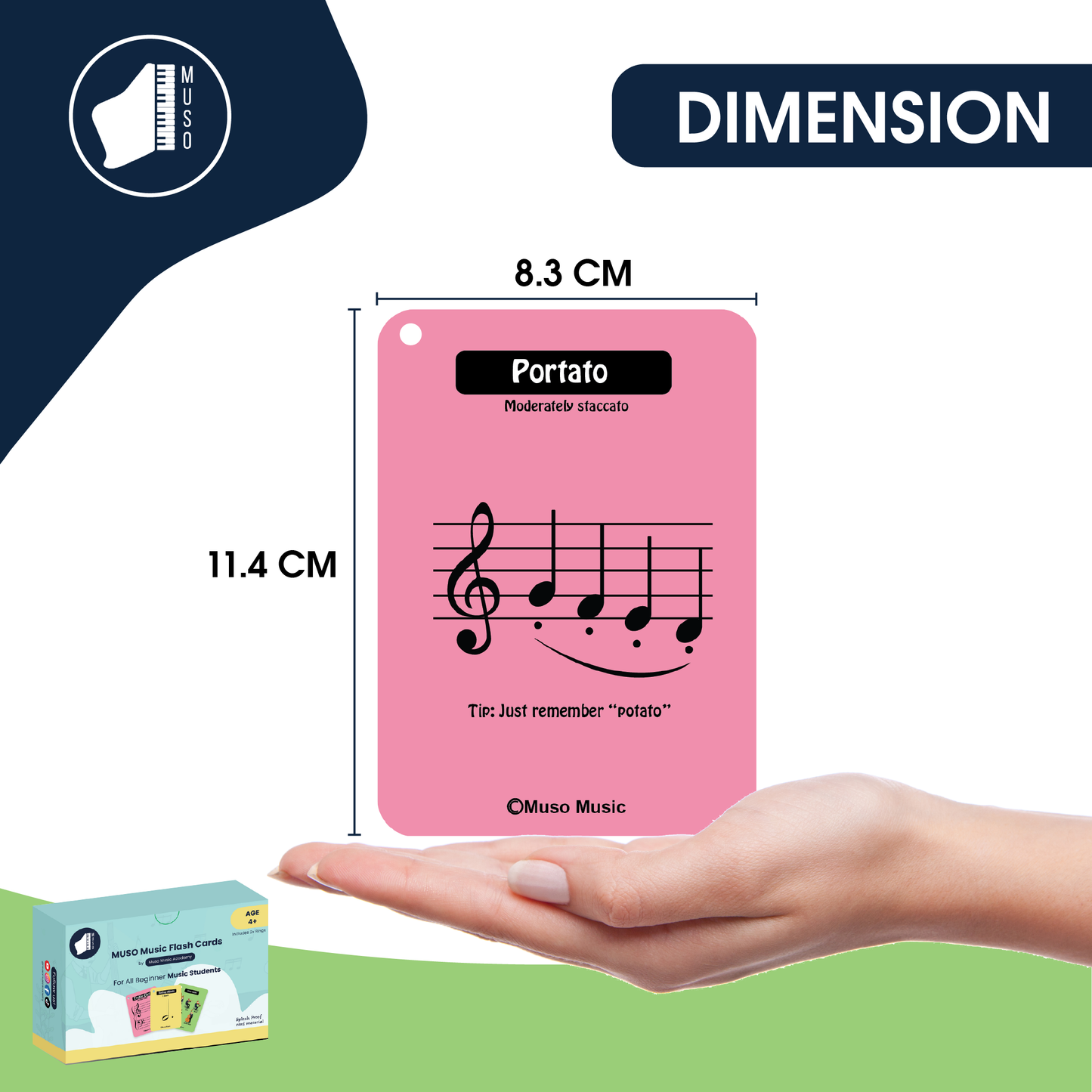 74 Splash-Proof Muso Music Flash Cards for beginner music students - Learn notes FAST